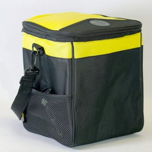 AA 12V 13 Litres Portable Cooler Fridge Box Bag